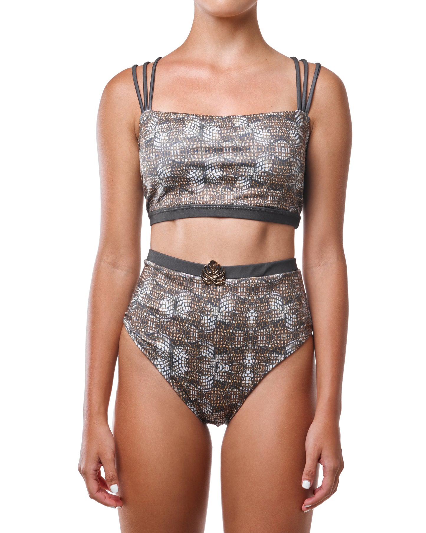 Meru-Desi // Cachicamo