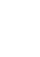 Victoria Leon Store